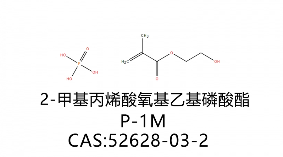 2-甲基丙烯酸氧基乙基磷酸酯 P-1M